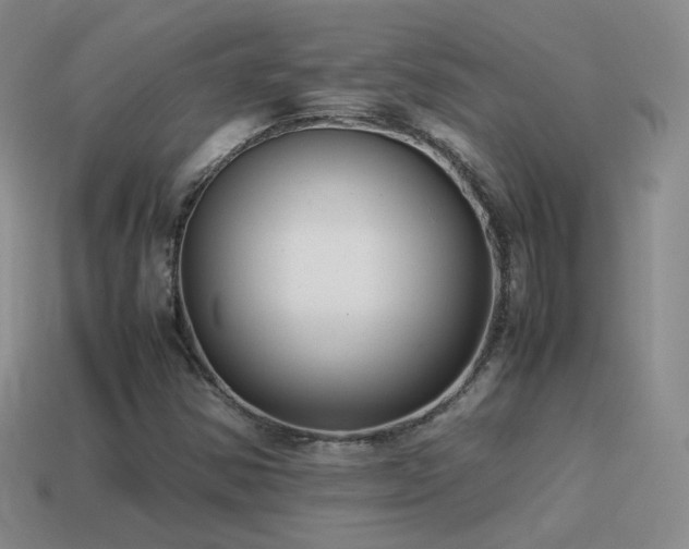 X0000115501354200911061319