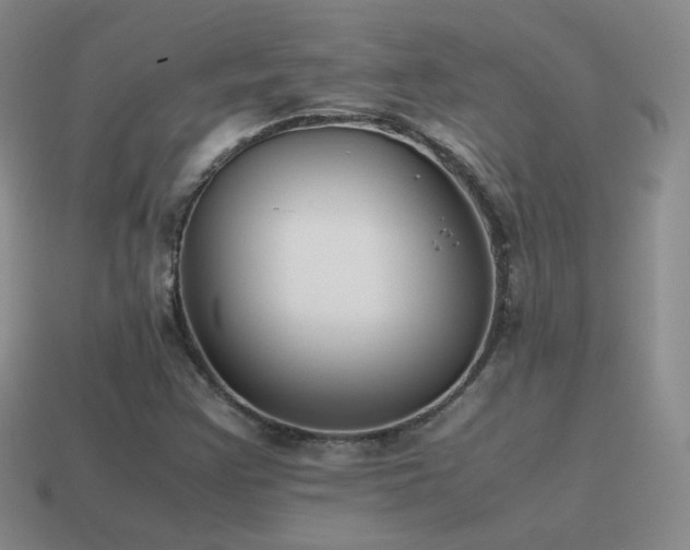 X0000115501355200911061319