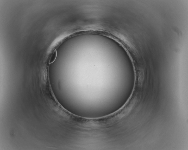 X0000115501358200911061319