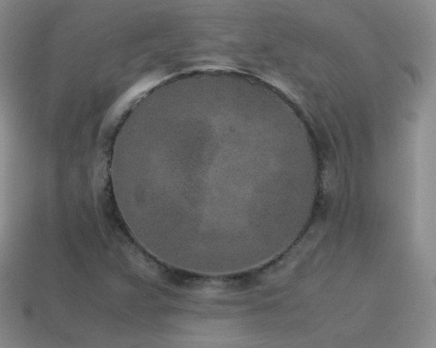 X0000115501359200911061319