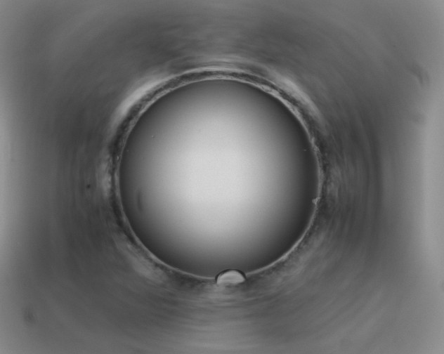 X0000115501360200911061319