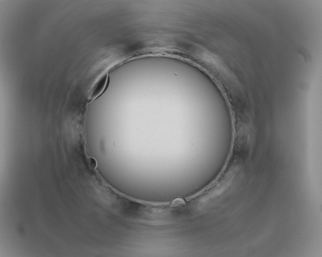 X0000115501361200911061319