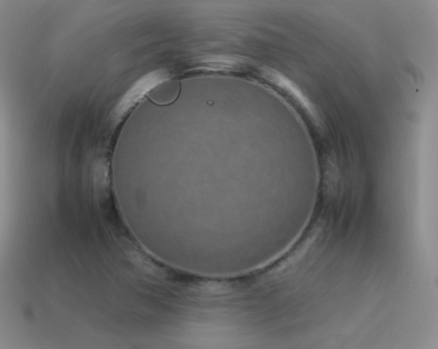 X0000115501362200911061319