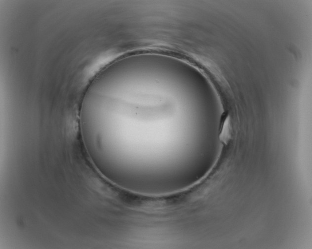X0000115501363200911061319