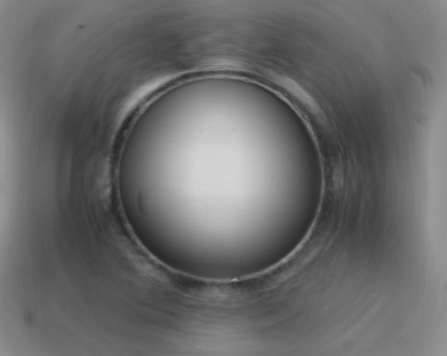 X0000115501364200911061319