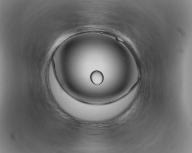 X0000115501365200911061319