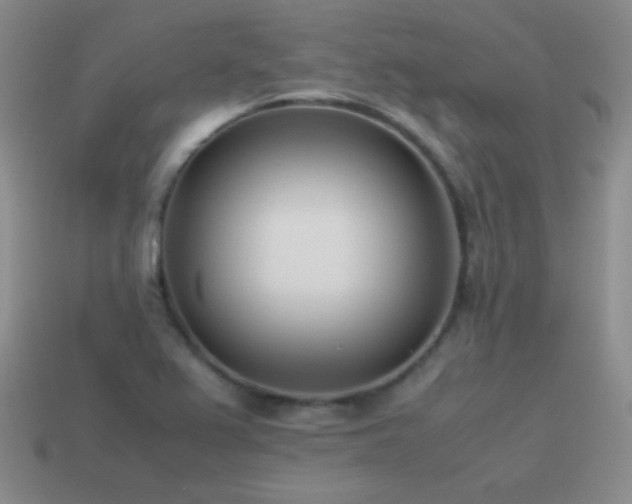 X0000115501367200911061319