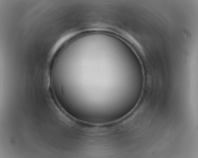 X0000115501368200911061319