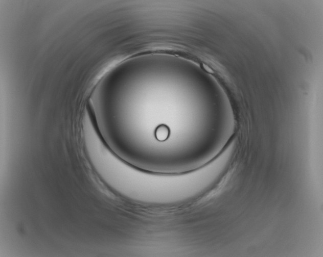 X0000115501369200911061319
