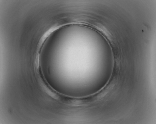 X0000115501371200911061318