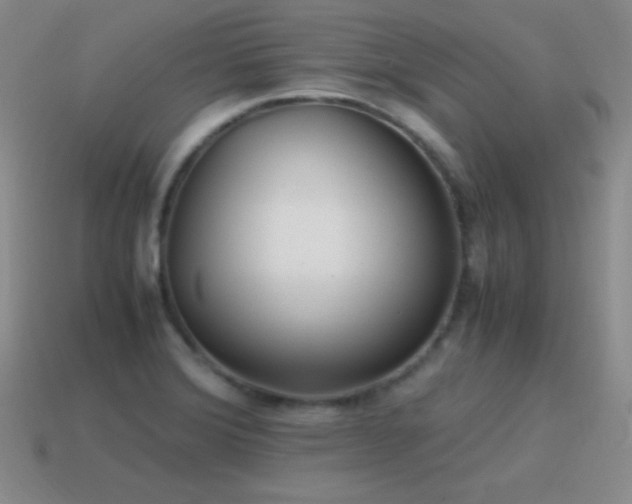 X0000115501372200911061318
