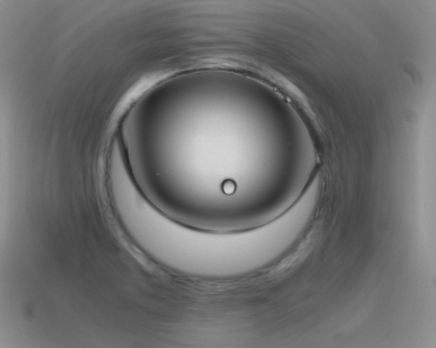 X0000115501373200911061318