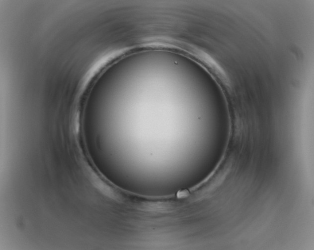 X0000115501376200911061318