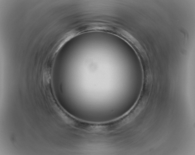 X0000115501377200911061318
