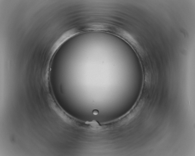 X0000115501378200911061318