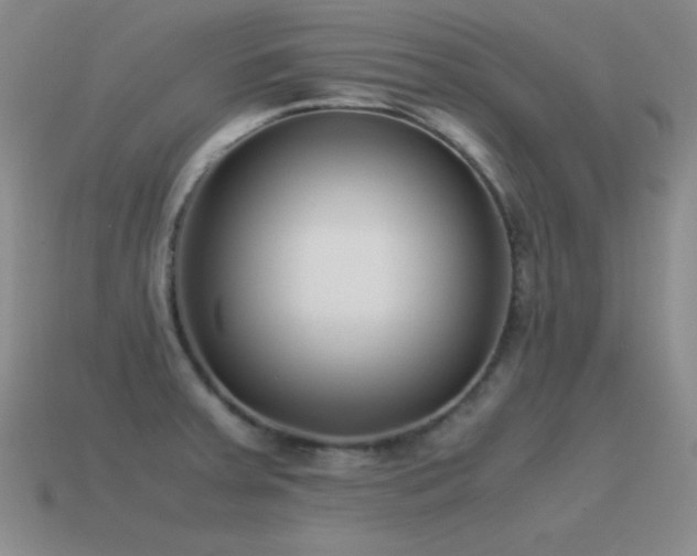 X0000115501379200911061318