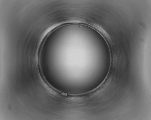 X0000115501380200911061318