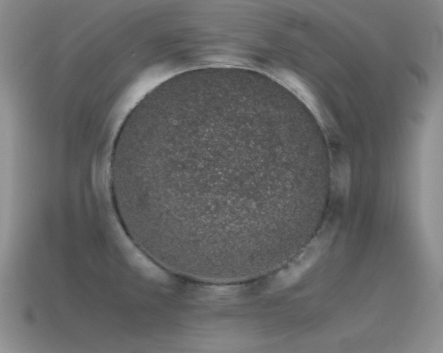X0000115501381200911061318
