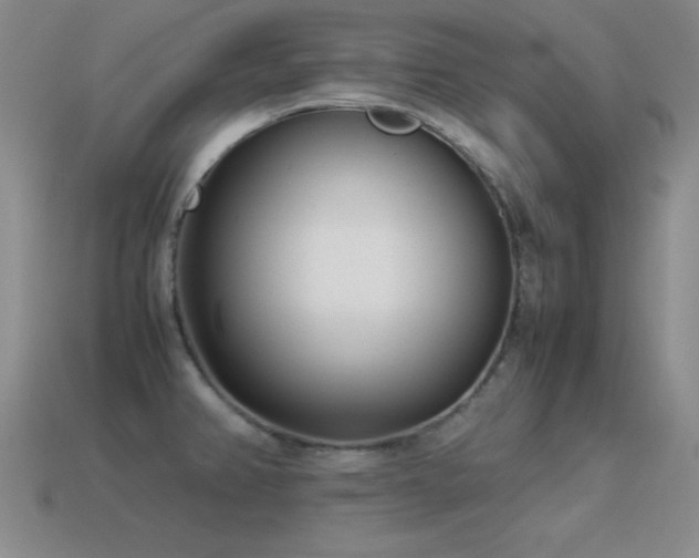 X0000115501382200911061318
