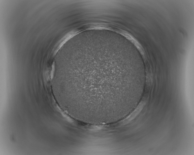 X0000115501385200911061318