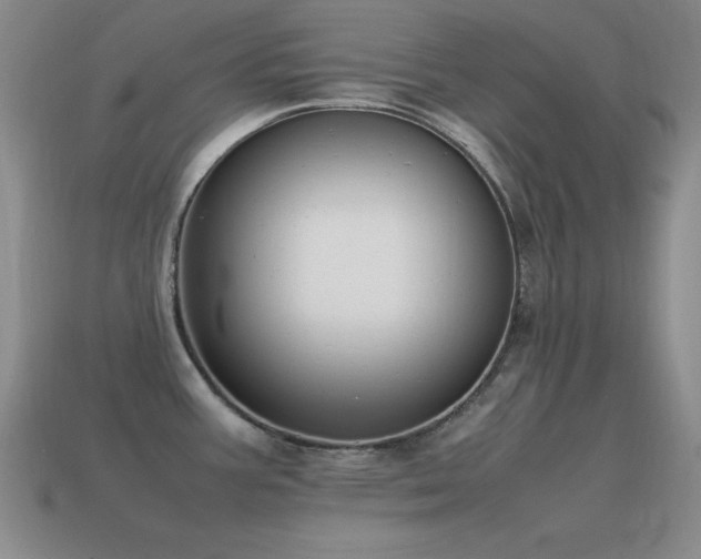 X0000115501387200911061318