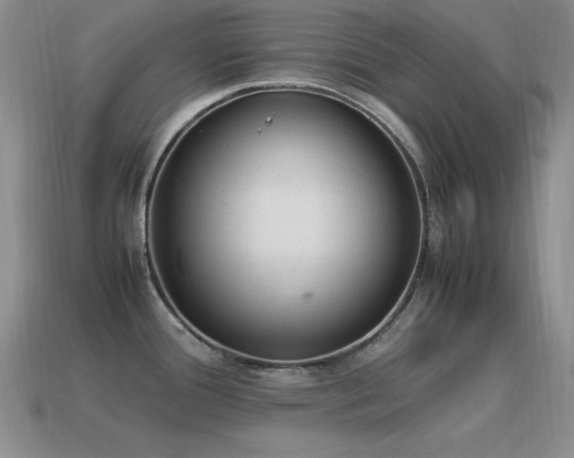X0000115501388200911061318