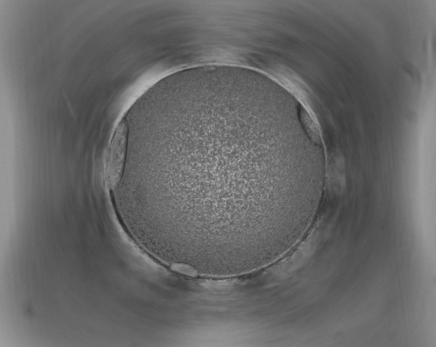 X0000115501389200911061318