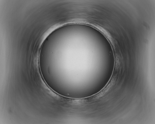 X0000115501390200911061318