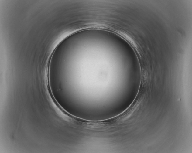 X0000115501391200911061318