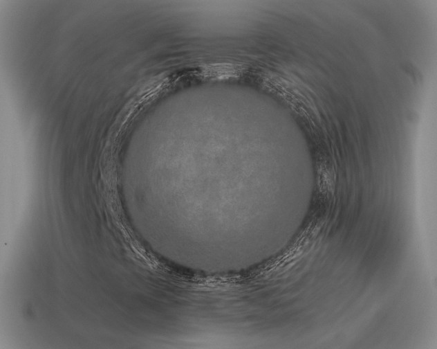 X0000115501393200911061318