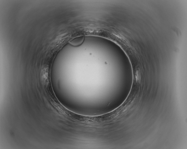 X0000115501396200911061318