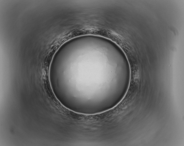 X0000115501397200911061318