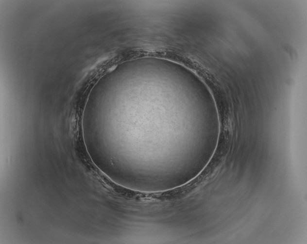 X0000115501398200911061318