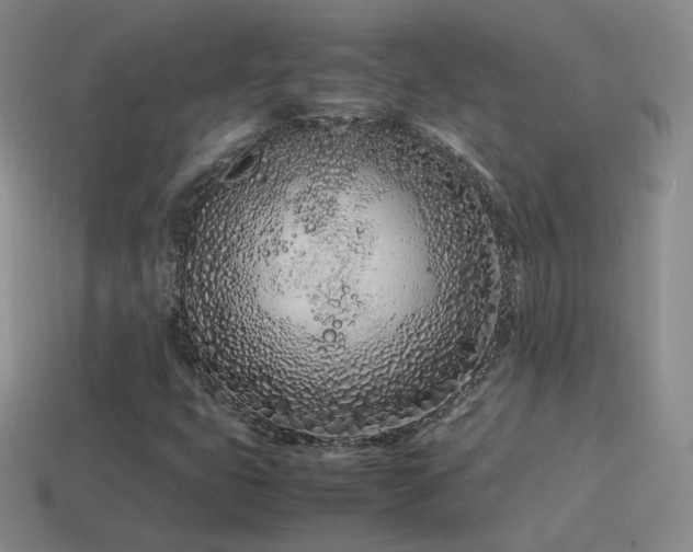 X0000115501399200911061318
