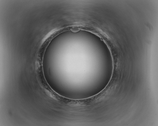 X0000115501400200911061318
