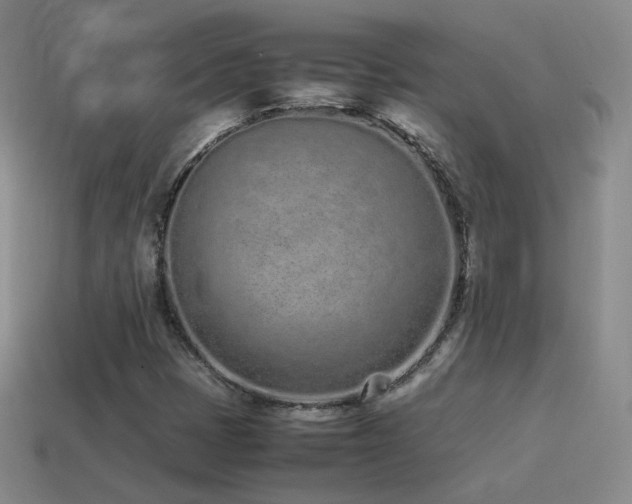 X0000115501401200911061318