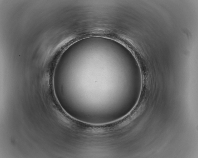 X0000115501402200911061318