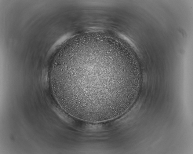 X0000115501403200911061318