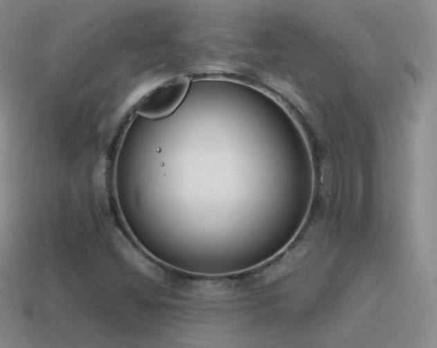X0000115501404200911061318