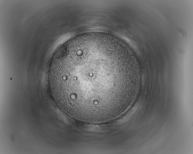 X0000115501405200911061318