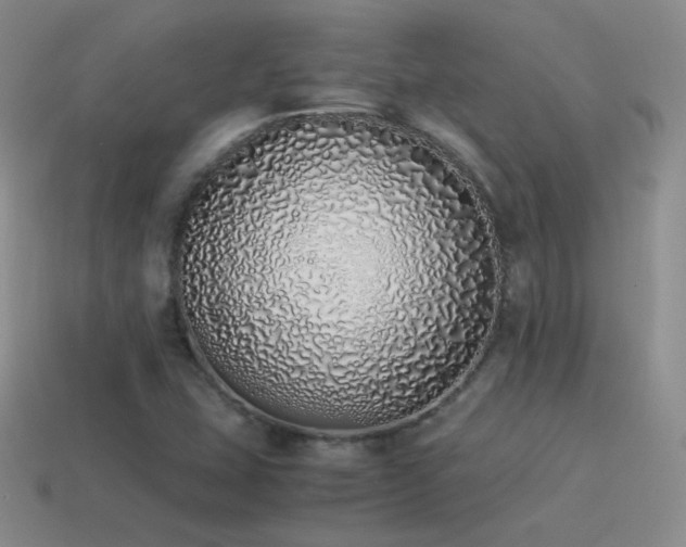 X0000115501407200911061318