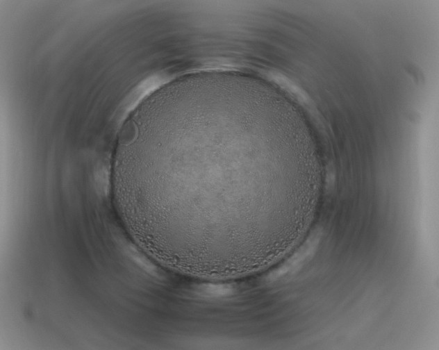 X0000115501409200911061318