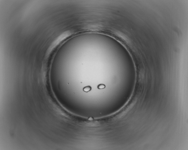 X0000115501410200911061318