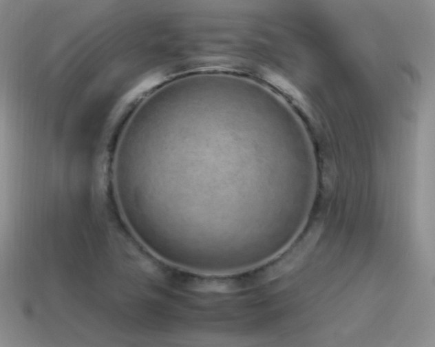 X0000115501411200911061318