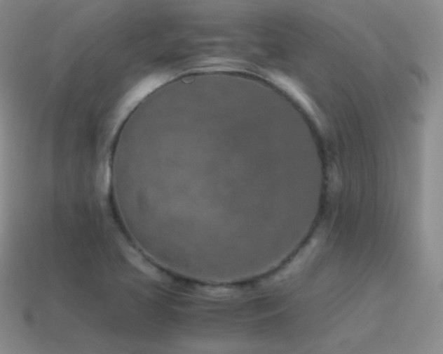 X0000115501413200911061318