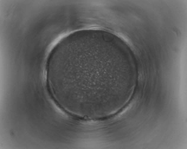 X0000115501414200911061318