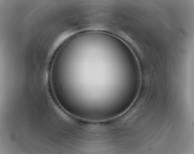 X0000115501416200911061318