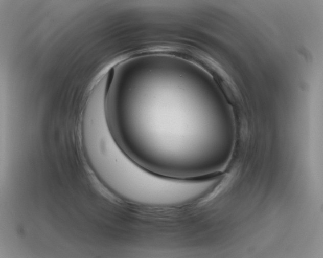 X0000115501417200911061318