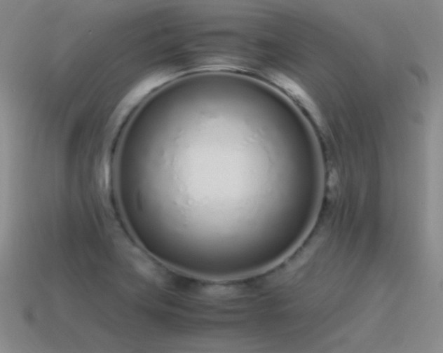 X0000115501419200911061318