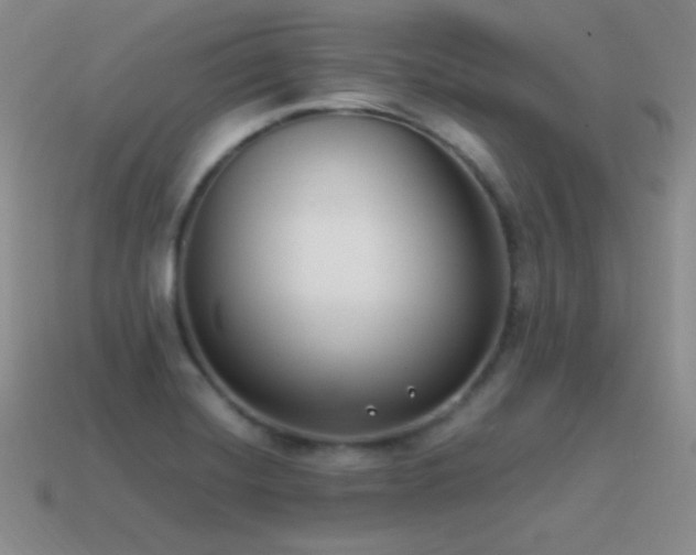 X0000115501420200911061318